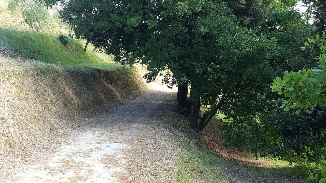 Agriturismo Le Querce Palaia Eksteriør billede